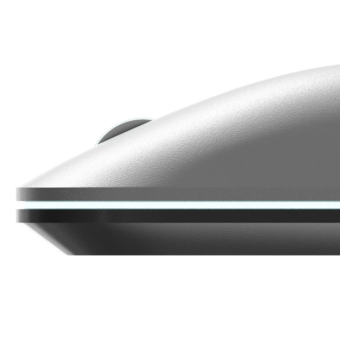 computer mouse front